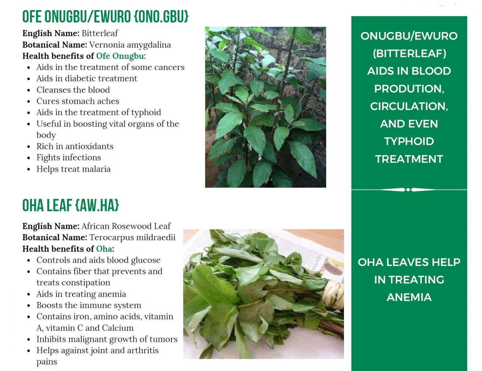 Health Benefits Of Nigerian Leafy Vegetables NigeriaMag