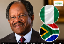 Adebayo Ogunlesi Bets Big on South Africa’s Infrastructure, Targets $30B Asset Growth