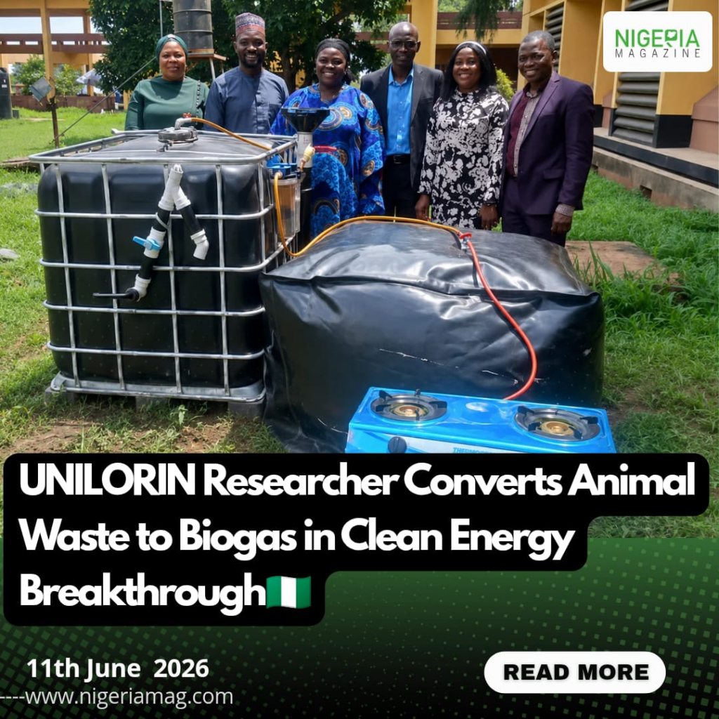 UNILORIN Researcher Converts Animal Waste to Biogas in Clean Energy Breakthrough